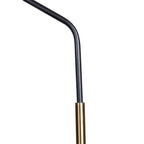Golden Globe Arc (Gold, Smoke) Floor Lamp